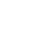 Step 03